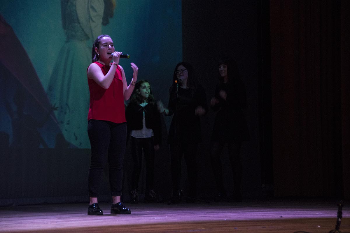 festivalsolidario (79)